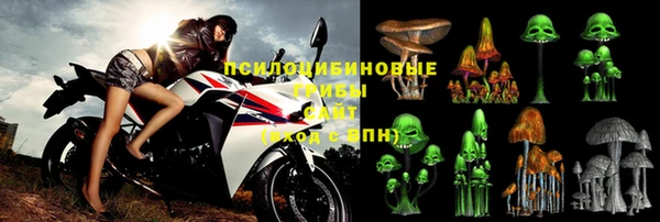 PSILOCYBIN Сосновка
