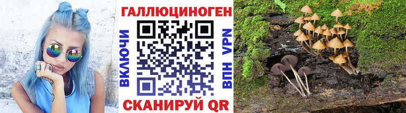 Галлюциногенные грибы ЛСД  Дзержинск 