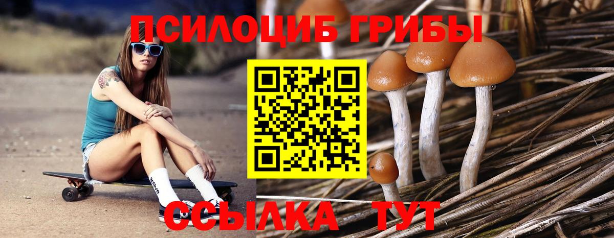 Псилоцибиновые грибы Magic Shrooms  Галлюциногенные грибы мухоморы  Вход с VPN  Дзержинск 